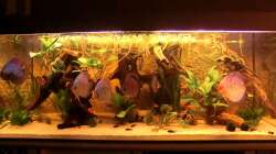 die ganze Bande in Pose