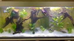 Die Pflanzen sind drin :)