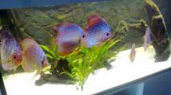 Die zukünftigen Hauptbewohner :)