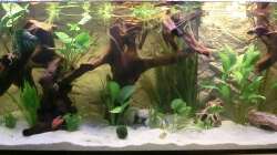 Nach 1ner Woche Einlaufphase