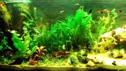 Erstmal alles erkunden