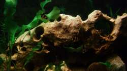 Die Ecken müssen auch erkundet werden