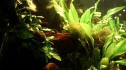 Umdekoriert am 18.10