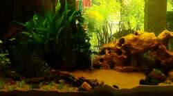 Becken gesamt am 10.08.