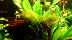 Linke Seite des Beckens nach Umdekoration