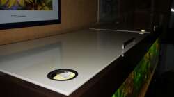 Aquarium Diskusbecken