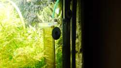 Technik im Aquarium Diskusbecken