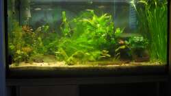 so sah es am 2.8.2012 aus