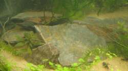 eine Steinhaufen die auf der linken Seite liegt und ein netter Unterschlupf für