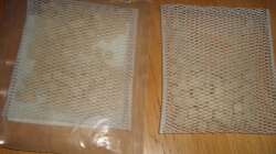 Ferrdrakon Power als Dünger