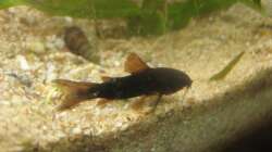 Das Bild entstand fast direkt nach dem Einzug