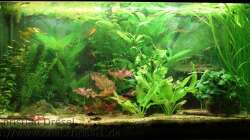 Foto ist vom 14.9.2012