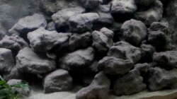 Aquarium Mbuna Becken - noch in Arbeit