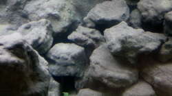 Aquarium Mbuna Becken - noch in Arbeit