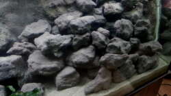 Aquarium Mbuna Becken - noch in Arbeit