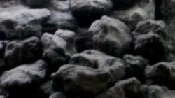 Aquarium Mbuna Becken - noch in Arbeit