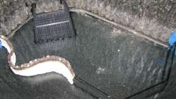 Grundaufbau der Terasse