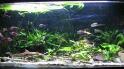 LED color vorne ist an