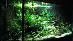 Aquarium Eckbecken Schmerlenburg