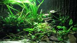 Die ´Burg´; von beiden LED voll erleuchtet