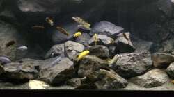 Frontal nach Neugestaltung