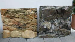 robizoo -> Rockzolid