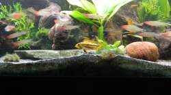 Liesbeth die Große ;)