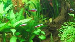 rechte Seite 25.06.13