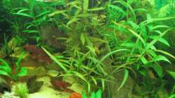 Mittelansicht 24.10.12