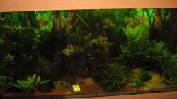 Stand 02.05.2013 mit Gurke