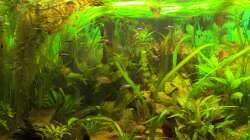 ein paar Bewohner :)