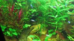 linke Seite 24.10.12