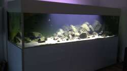Aquarium Malawibiotop - 1.400 Liter