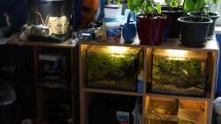 Von weiter weg ohne Blitz, Bild zeigt sehr gut die Helligkeitsverhältnisse