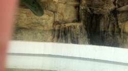 Styropor verhindert das dahintergelangen von Kies und Fischen