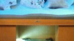 Becken mit Unterschrank und altem 30l Becken 