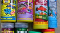 Futter - Teststreifen - Nitrivet