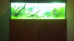 Mein Becken momentan