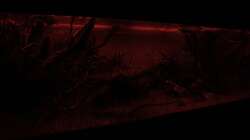 ??bergang ins Abendrot