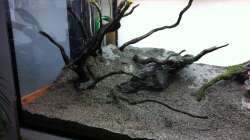 besteht aus vier einzelnen Wurzeln ( mit Dennerlesaugern gesichert )