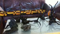 gewässert und bespannt