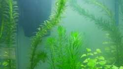 Am Tag der Neueinrichtung