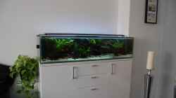 Aquarium 130cm Asiatisches Flachwasser-Biotop