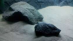Dekoration im Aquarium African Tank Pl.Mdoka