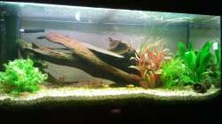 Tag 4. Neue Bepflanzung