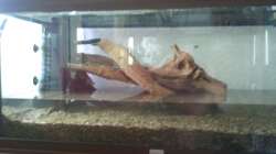 Start der Neueinrichtung am 22.10.2012