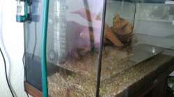 22.10.2012 + Blasenzähler