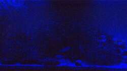 LED-Beleuchtung (Blau und Weiß) für die Nacht