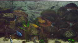 Aquarium Becken 2435