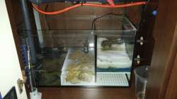 Becken 2 linke Seite